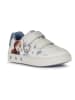Geox Sneakers "Skylin" in Weiß/ Blau