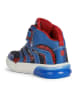 Geox Sneakers "Grayjay" in Blau/ Rot