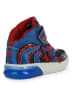 Geox Sneakers "Grayjay" in Blau/ Rot
