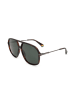 Polaroid Unisex-Sonnenbrille in Braun/ Grau