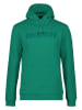 DOLOMITE Hoodie "Logo" groen