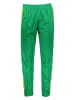 adidas Sweatbroek groen