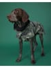 Paikka Hunde-Regenmantel in Khaki