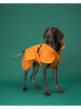 Paikka Hunde-Regenmantel in Orange