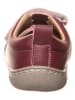 lamino Barefootschoenen rood