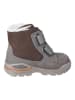 PEPINO Winterboots "Jim"  in Braun/ Grau