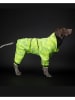 Paikka Hunde-Regenanzug in Grün