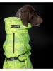 Paikka Hunde-Regenanzug in Grün