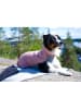 Paikka Hunde-Wintershirt in Rosa