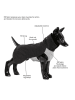 Paikka Hunde-Wintershirt in Anthrazit