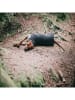 Paikka Hunde-Wintershirt in Anthrazit