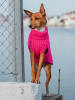 Paikka Hunde-Wollpullover in Pink