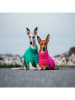 Paikka Hunde-Wollpullover in Pink