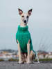 Paikka Hunde-Wollpullover in Grün