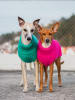 Paikka Hunde-Wollpullover in Grün