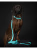 Paikka Halsband "Glow" turquoise - (L)23-30 x (B)1,5 cm