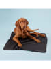 Paikka Recovery hondendeken zwart - (L)100 x (B)70 cm