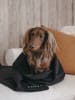 Paikka Recovery-Hundedecke in Schwarz