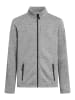 Bench Fleecejacke "Agito" in Grau