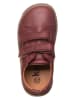 kmins Leder-Barfußschuhe in Bordeaux