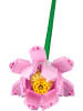 LEGO LEGO® Creator: Lotus flowers - 8+