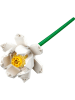 LEGO LEGO® Creator: Lotus flowers - 8+
