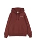 Champion Hoodie in Braun