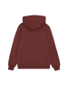 Champion Hoodie in Braun