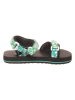 Vans Sandalen groen/wit