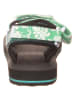 Vans Sandalen groen/wit