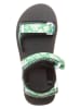 Vans Sandalen groen/wit