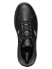 Geox Sneakers "Nhenbus" zwart