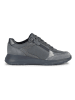 Geox Sneakers "Alleniee" in Anthrazit