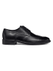 Geox Leder-Schnürschuhe "Gladwin" in Schwarz