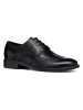 Geox Leren veterschoenen "Gladwin" zwart