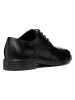 Geox Leren veterschoenen "Gladwin" zwart