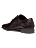Geox Leder-Schnürschuhe "High Life" in Braun
