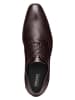 Geox Leder-Schnürschuhe "High Life" in Braun
