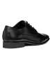 Geox Leder-Schnürschuhe "High Life" in Schwarz