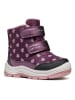 Geox Boots "Flanfil" violet/lichtroze