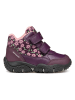 Geox Boots "Baltic" paars
