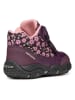 Geox Boots "Baltic" in Lila