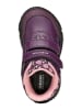 Geox Boots "Baltic" paars