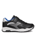 Geox Sneakers "Pavel" in Schwarz/ Grau