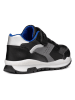 Geox Sneakers "Pavel" in Schwarz/ Grau