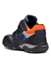 Geox Boots "Baltic" in Schwarz/ Blau
