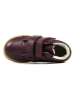 Richter Shoes Leder-Barfußschuhe "Dash" in Bordeaux