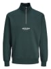 JACK & JONES Junior Sweatshirt "Versterbro" in Grün