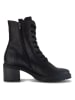 Gabor Leder-Stiefeletten in Schwarz