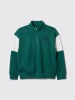 GAP Bluza w kolorze zielonym